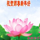 Published on 12/30/2016 ���ֹ�,��½�󷨵��ӹ�ףʦ�������(40��)