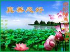 ֹ,ϴ󷨵ӹףʦ(21)