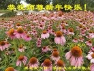 Published on 12/31/2016 ���ֹ�,���󷨵��ӹ�ףʦ�������(33��)