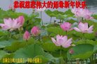 Published on 12/30/2016 ���ֹ�,��½�󷨵��ӹ�ףʦ�������(27��)
