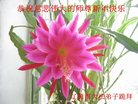 Published on 12/29/2016 ���ֹ�,��½�󷨵��ӹ�ףʦ�������(38��)