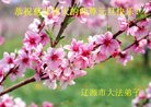 Published on 12/29/2016 ���ֹ�,��½�󷨵��ӹ�ףʦ�������(38��)