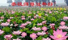 ֹ,󷨵ӹףʦ(23)
