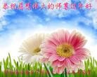 ֹ,󷨵ӹףʦ(24)
