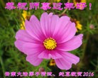 ֹ,ϴ󷨵ӹףʦ(19)
