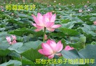 ֹ,ӱ󷨵ӹףʦ(26)

