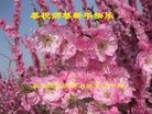 Published on 2/5/2016 ���ֹ�,����ϵͳ�󷨵��ӹ�ףʦ�������(24��)
