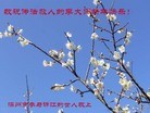 Published on 2/5/2016 ���ֹ�,��½���չ�ף���־��ʦ�����(27��)
