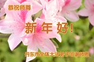 ֹ,󷨵ӹףʦ(25)
