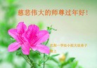 ֹ,󷨵ӹףʦ(28)
