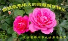 ֹ,ݴ󷨵ӹףʦ(24)
