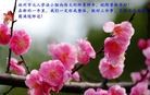 ֹ,ϴ󷨵ӹףʦ(29
