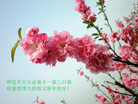 ֹ,ɹŴ󷨵ӹףʦ(23)
