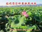 Published on 2/5/2016 ���ֹ�,���󷨵��ӹ�ףʦ���������(30��)
