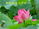 ֹ,󷨵ӹףʦ(29)
