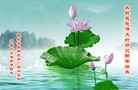 Published on 2/7/2016 ���ֹ�,�Ƿ���Ѻ�󷨵��ӹ�ףʦ������(24��)
