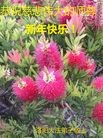 ֹ,ϴ󷨵ӹףʦ(29

