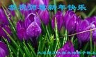 Published on 2/4/2016 ���ֹ�,����ϵͳ�󷨵��ӹ�ףʦ���������(22��)
