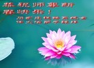 Published on 2/4/2016 ���ֹ�,����ҵ�󷨵��ӹ�ףʦ���������(30��)
