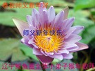 Published on 2/4/2016 ���ֹ�,С���ӹ�ףʦ���������(21��)
