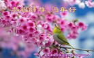 Published on 2/4/2016 ���ֹ�,����ϵͳ�󷨵��ӹ�ףʦ���������(22��)
