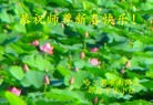 ֹ,󷨵ӹףʦ(26)
