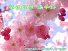 Published on 2/5/2016 ���ֹ�,��½���չ�ף���־��ʦ�����(27��)

