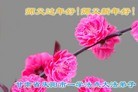 ֹ,󷨵ӹףʦ(23)
