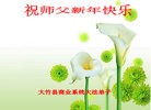 Published on 2/7/2016 ���ֹ�,��½�󷨵��ӹ�ףʦ�������(29��)
