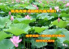 Published on 2/7/2016 ���ֹ�,��½�󷨵��ӹ�ףʦ�������(29��)
