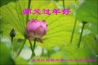 Published on 2/8/2016 ���ֹ�,��½�󷨵��ӹ�ףʦ�������(43��)
