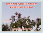 Published on 2/7/2016 ���ֹ�,��½�󷨵��ӹ�ףʦ�������(45��)

