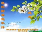 Published on 2/9/2016 ���ֹ�,��½�󷨵��ӹ�ףʦ�������(21��)
