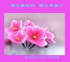 Published on 2/9/2016 ���ֹ�,��½�󷨵��ӹ�ףʦ�������(21��)
