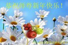 Published on 2/8/2016 ���ֹ�,��½�󷨵��ӹ�ףʦ�������(31��)
