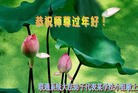 Published on 2/8/2016 ���ֹ�,��½�󷨵��ӹ�ףʦ�������(42��)
