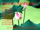 Published on 2/7/2016 ���ֹ�,��½�󷨵��ӹ�ףʦ�������(29��)
