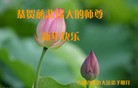 Published on 2/7/2016 ���ֹ�,��½�󷨵��ӹ�ףʦ�������(29��)
