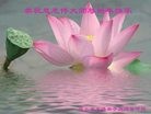 Published on 2/7/2016 ���ֹ�,��½�󷨵��ӹ�ףʦ�������(29��)
