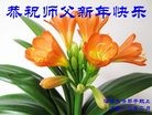 Published on 2/7/2016 ���ֹ�,��½�󷨵��ӹ�ףʦ�������(29��)
