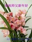 Published on 2/7/2016 ���ֹ�,��½�󷨵��ӹ�ףʦ�������(37��)
