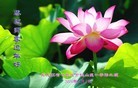 Published on 2/7/2016 ���ֹ�,��½�󷨵��ӹ�ףʦ�������(27��)
