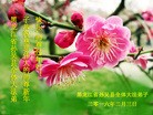 Published on 2/7/2016 ���ֹ�,��½�󷨵��ӹ�ףʦ�������(27��)
