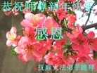 Published on 2/7/2016 ���ֹ�,��½�󷨵��ӹ�ףʦ�������(27��)
