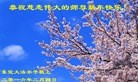 Published on 2/8/2016 ���ֹ�,��½�󷨵��ӹ�ףʦ������(47��)
