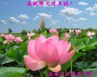 Published on 2/7/2016 ���ֹ�,��½�󷨵��ӹ�ףʦ�������(26��)
