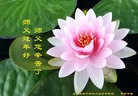 Published on 2/7/2016 ���ֹ�,��½�󷨵��ӹ�ףʦ�������(26��)
