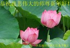 Published on 2/7/2016 ���ֹ�,��½�󷨵��ӹ�ףʦ�������(26��)

