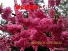 Published on 2/7/2016 ���ֹ�,��½�󷨵��ӹ�ףʦ�������(26��)
