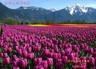 Published on 2/7/2016 ���ֹ�,��½�󷨵��ӹ�ףʦ�������(36��)
